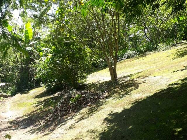 #TE0003 - Terreno para Venda em Mairiporã - SP - 3