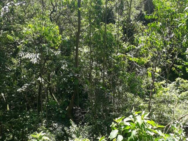#TE0007 - Terreno para Venda em Mairiporã - SP - 2