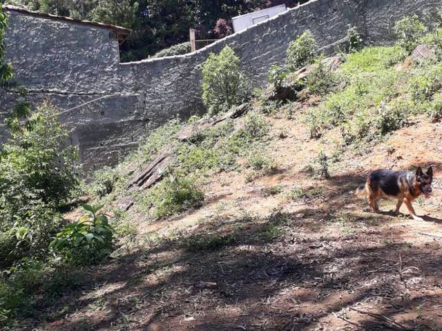 #TE0007 - Terreno para Venda em Mairiporã - SP - 3