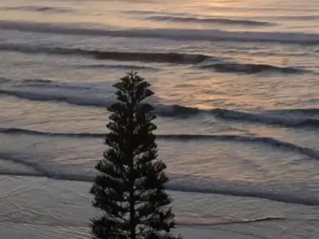 #CP0031-AP - Casa de Praia para Venda em Itanhaém - SP - 3