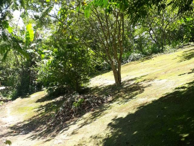 #TE0003 - Terreno para Venda em Mairiporã - SP - 2