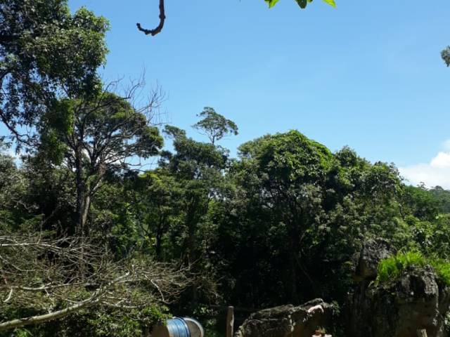 Terreno para Venda em Mairiporã - 4