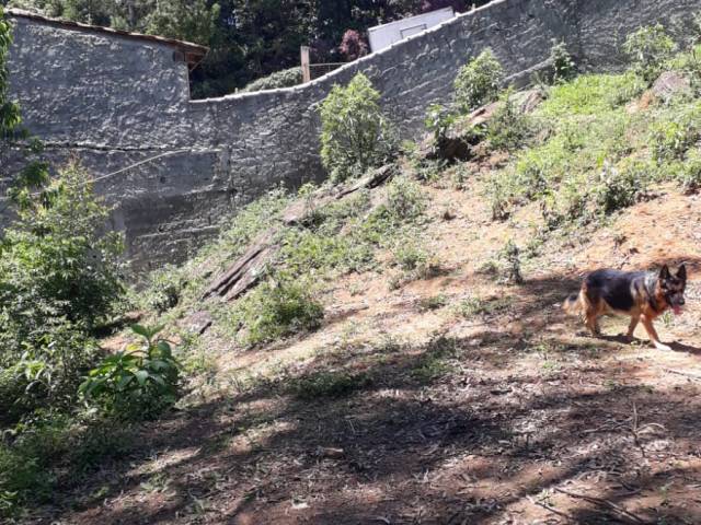 Terreno para Venda em Mairiporã - 5