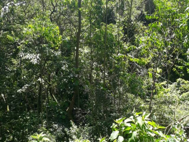 Terreno para Venda em Mairiporã - 4